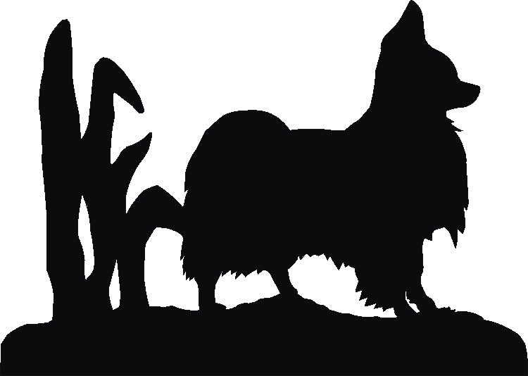 Papilon Weathervane