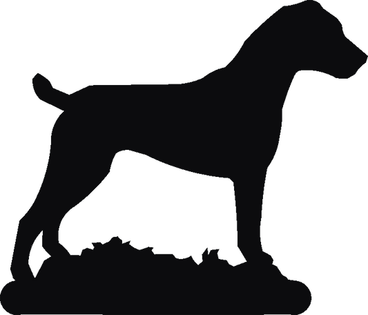 Parson Russell Phone Stand