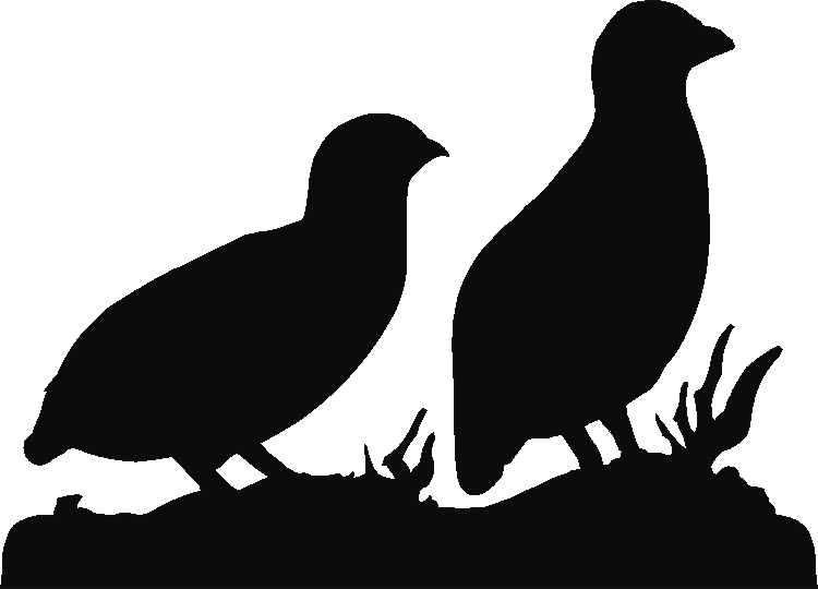 Partridge Coat Racks