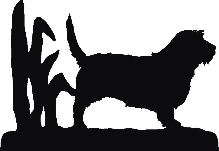 PBGV Rosette Runner