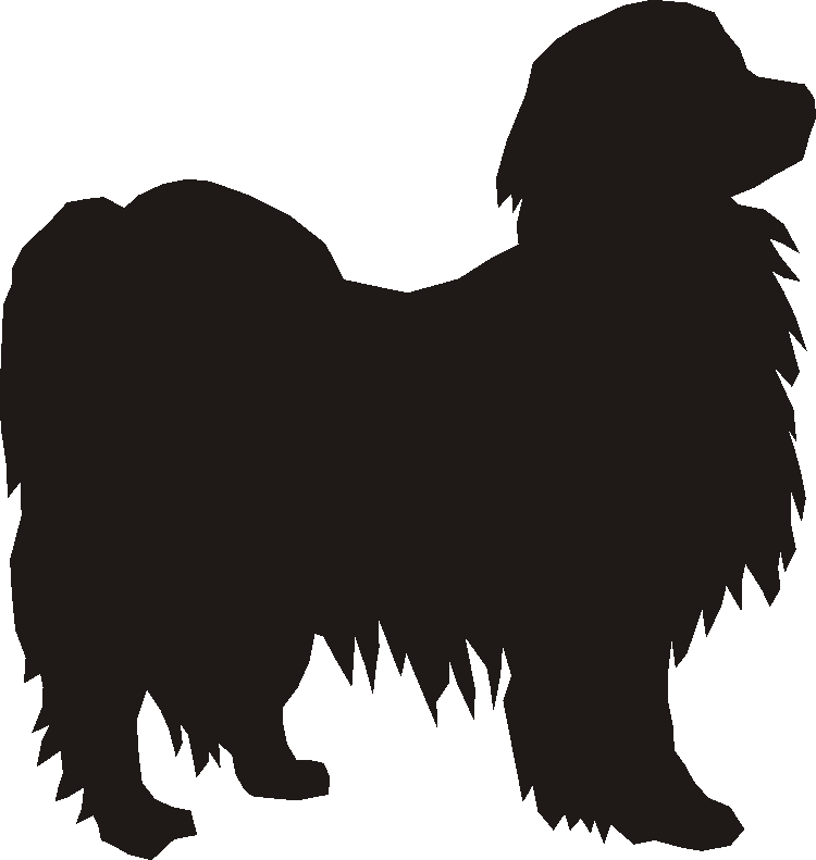 Phalene Silhouettes