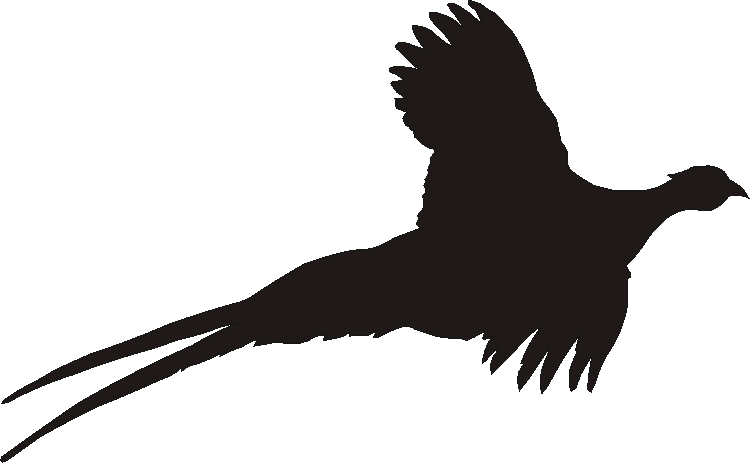 Pheasant Flying Gate Plates