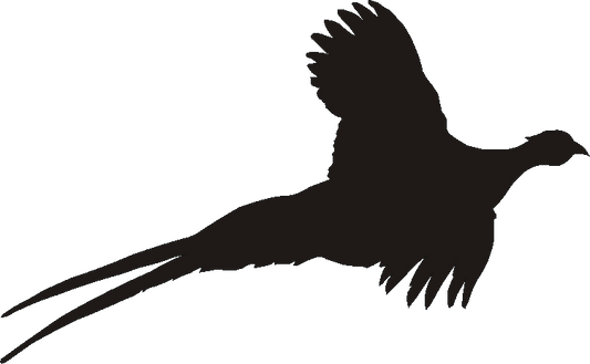 Pheasant Flying Silhouettes