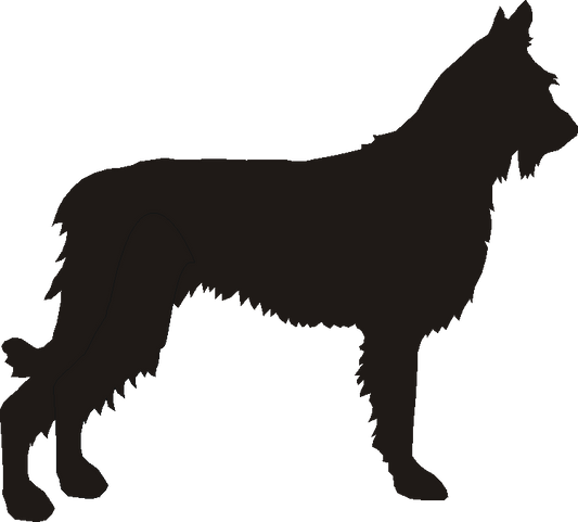 Picardy Sheepdog Silhouettes