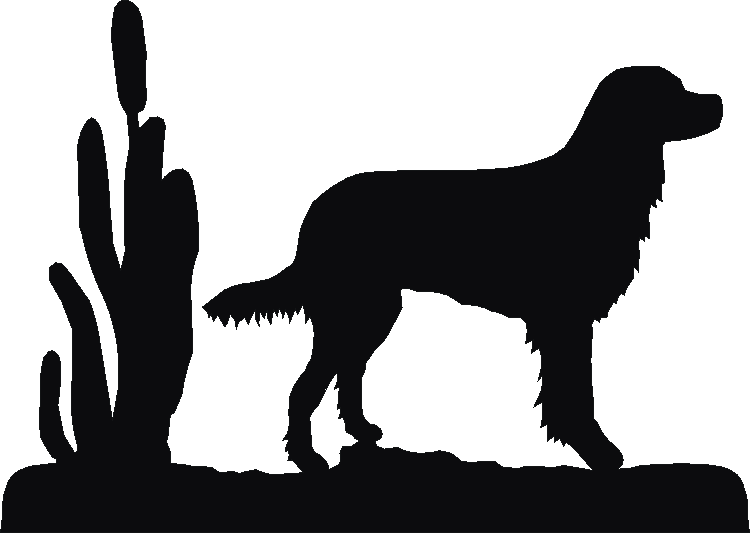 Picardy Spaniel Rosette Runner