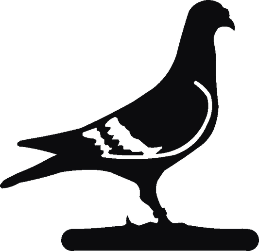 Pigeon Post Box