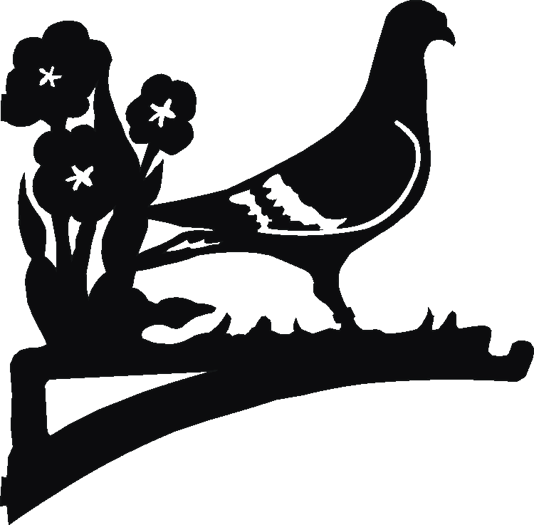 Pigeon Hanging Brackets