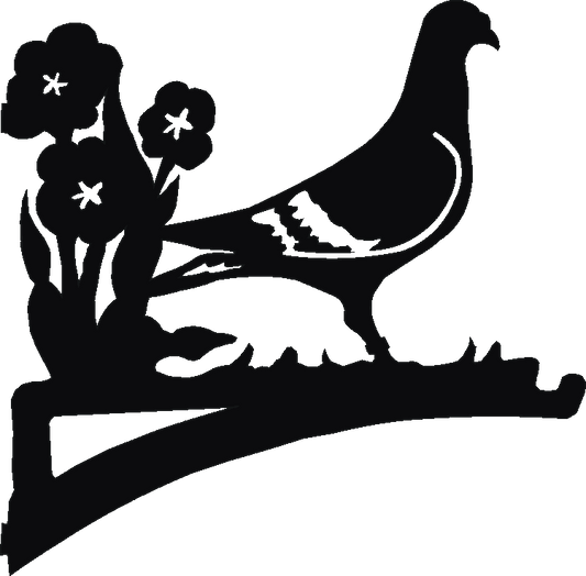 Pigeon Hanging Brackets