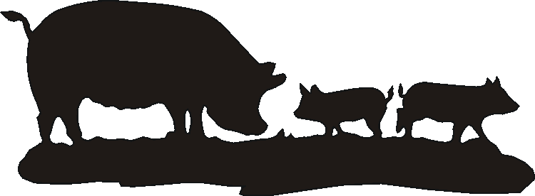 Pigs Boot Pull