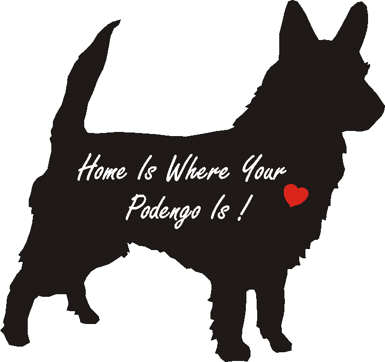Portugese Podengo Home Is...