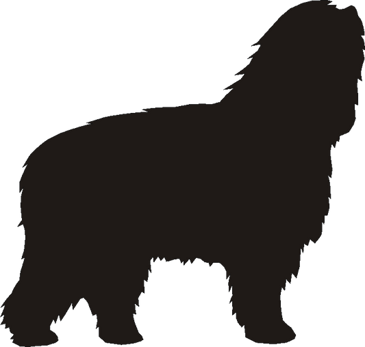 Polish Lowland Silhouettes