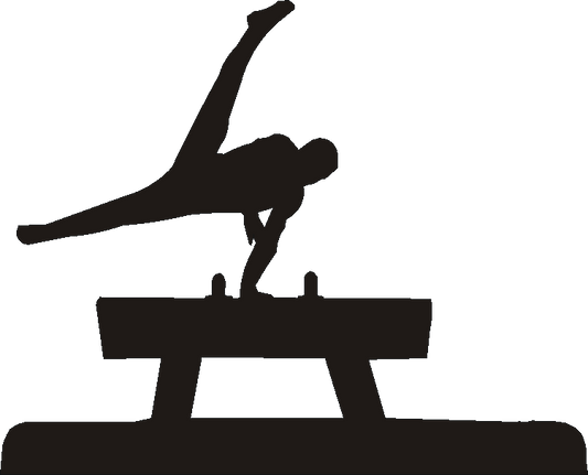 Pommel Horse Coat Racks