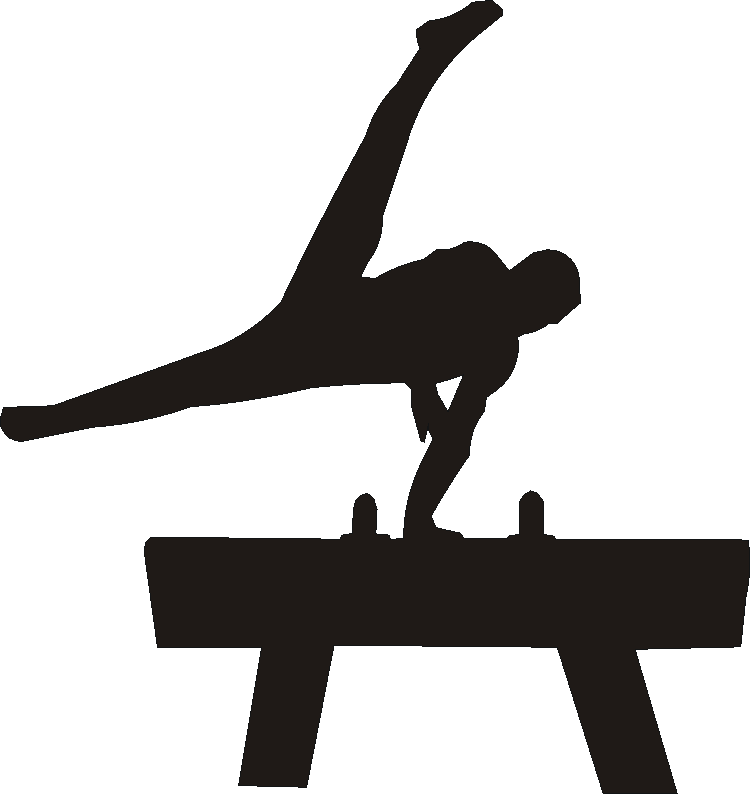 Pommel Horse Stable Door Name Plates