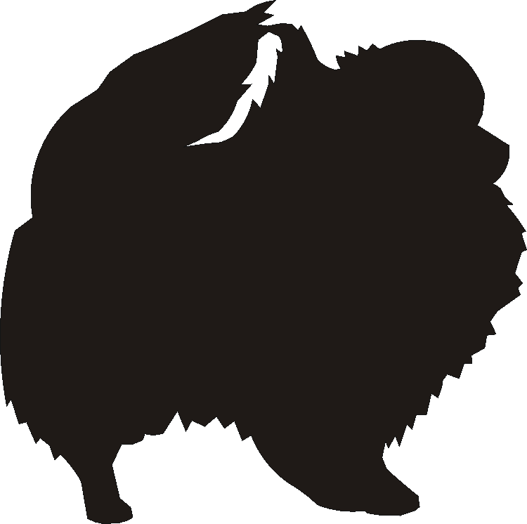 Pommeranian Silhouettes