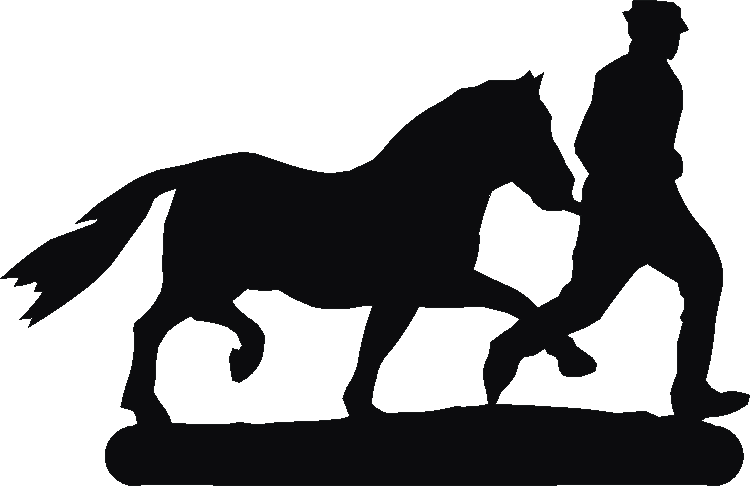 Pony Man Post Top
