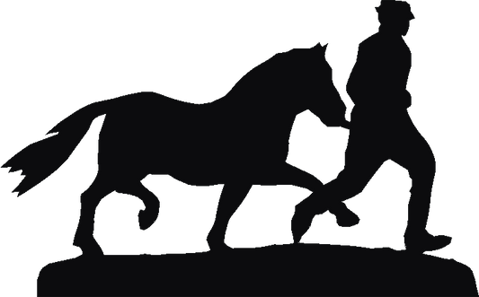 Pony Man Weathervane
