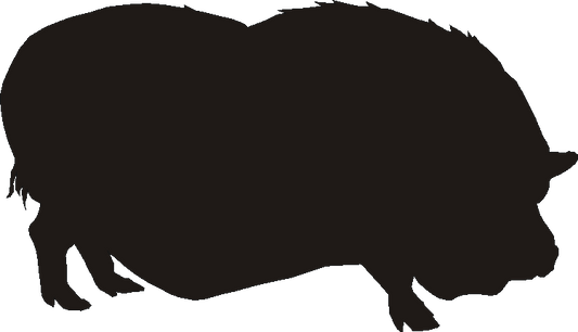 Pot Belly Pig Curtain Hook Backs