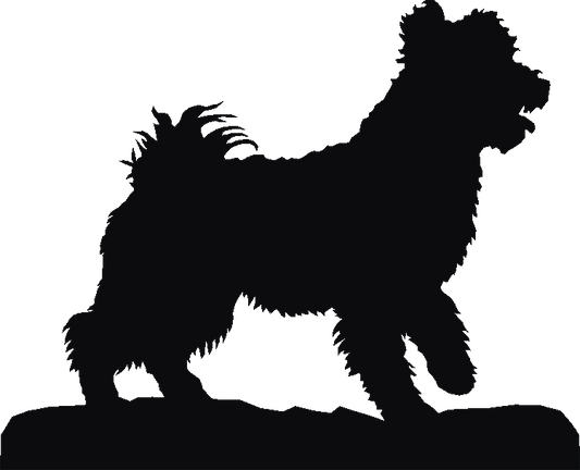 Pumi Weathervane