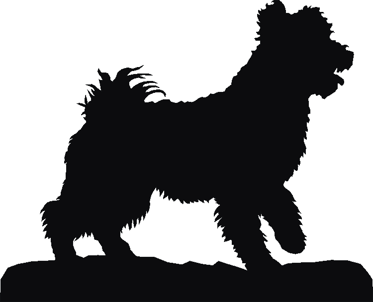 Pumi Rosette Runner