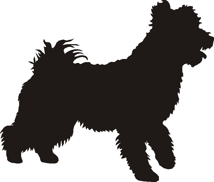 Pumi Silhouettes