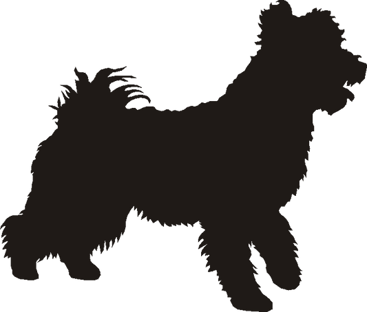Pumi Silhouettes