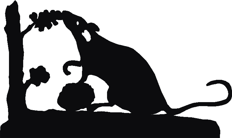 Rat Rosette Runner
