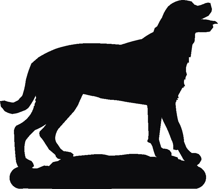 Rottweiler Hand Stand
