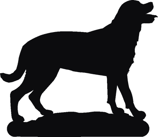 Rottweiler Hand Stand