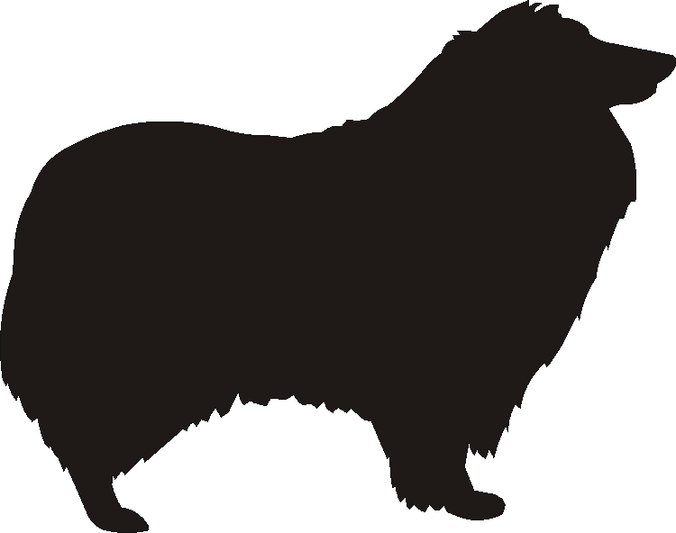 Rough Collie Silhouettes
