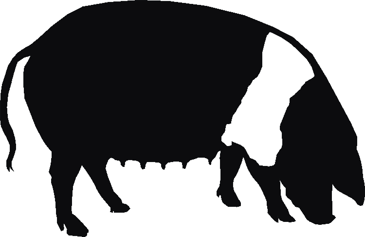 Saddleback Silhouettes