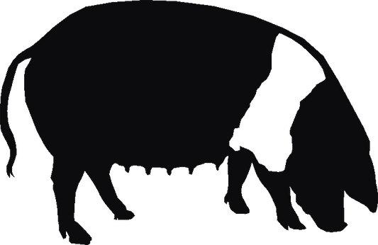 Saddleback Silhouettes