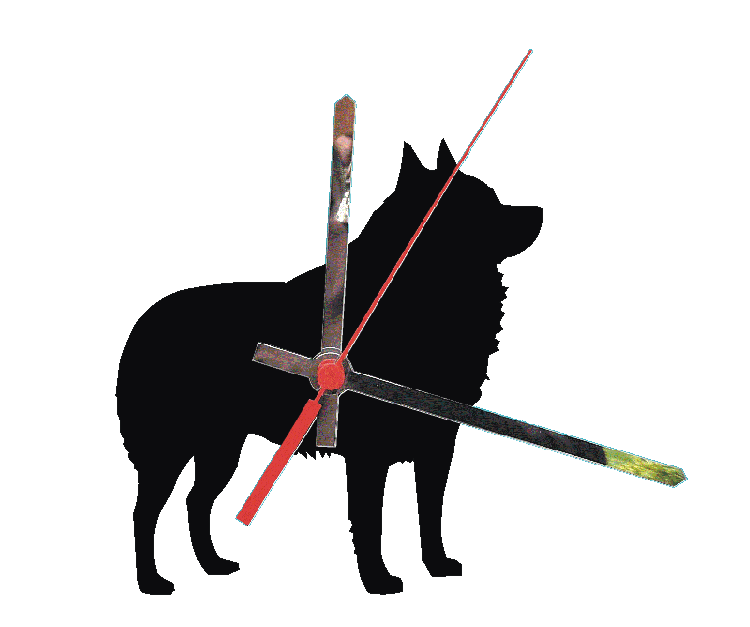 Schipperke Clocks