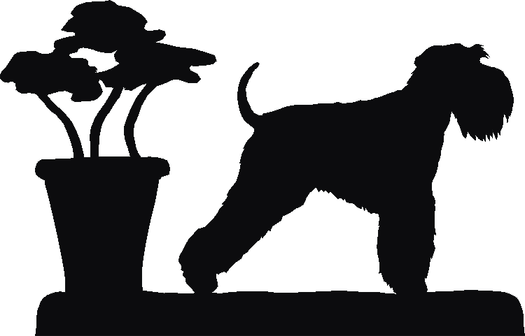 Schnauzer Miniature Weathervane