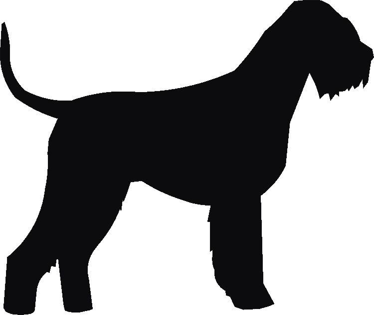 Schnauzer Giant Whirlies