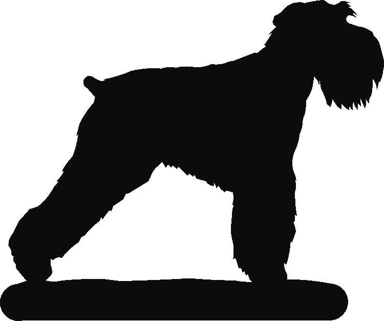 Schnauzer Miniature Docked Hand Stand