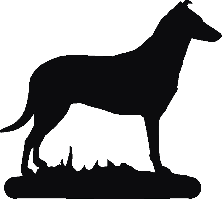 Smooth Collie Phone Stand