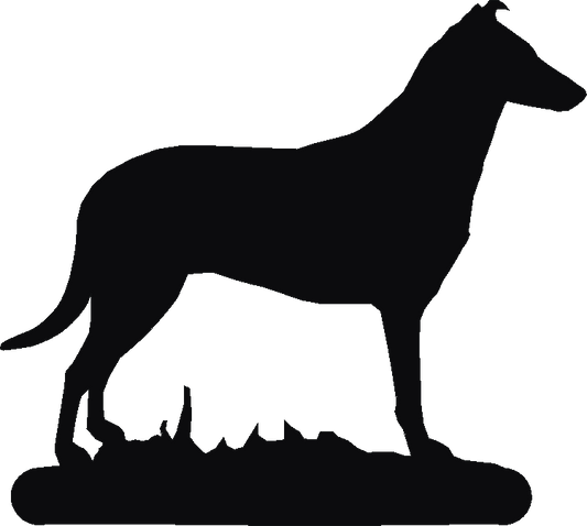 Smooth Collie Phone Stand