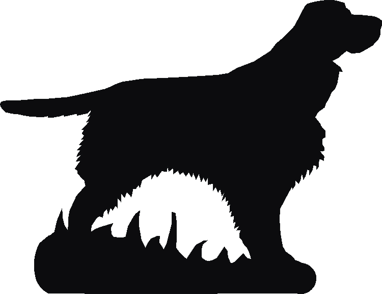 Springer Spaniel Phone Stand