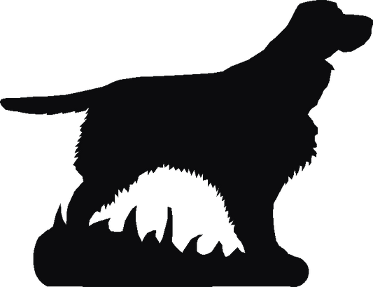 Springer Spaniel Phone Stand