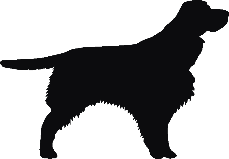 Springer Spaniel Silhouettes1