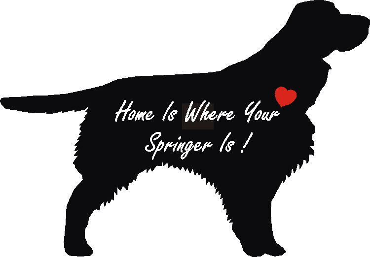 Springer Spaniel Home Is...