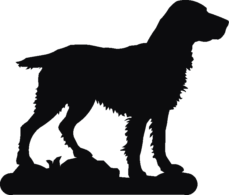 Springer Working Phone Stand