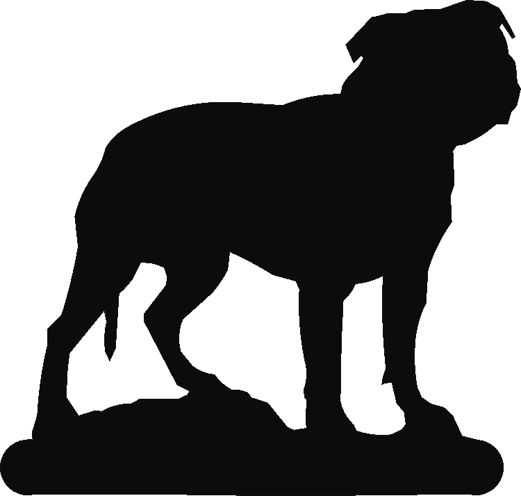 Staffordshire Bull Terrier Book Ends