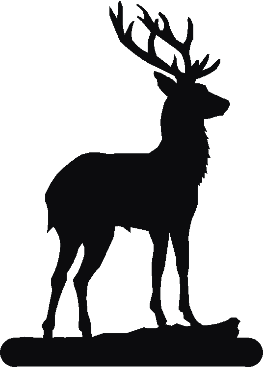 Stand Tall Phone Stand