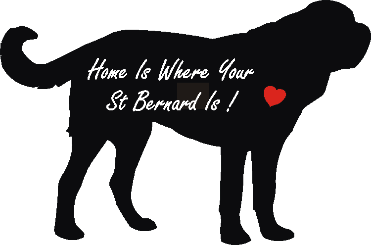 St Bernard Home Is...