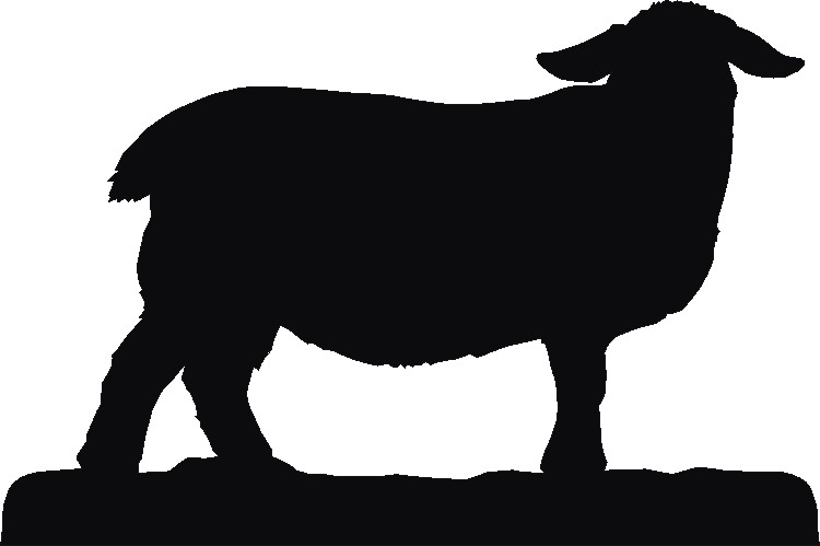 Suffolk Sheep Weathervane