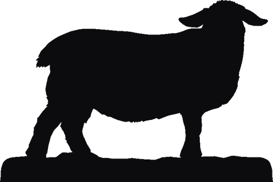 Suffolk Sheep Weathervane