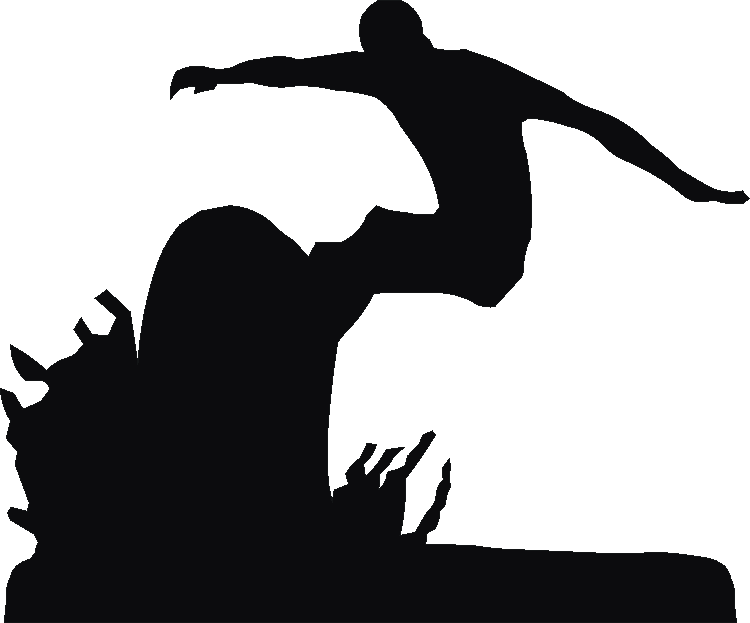 Surfing Weathervane