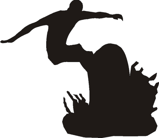 Surfing Silhouettes
