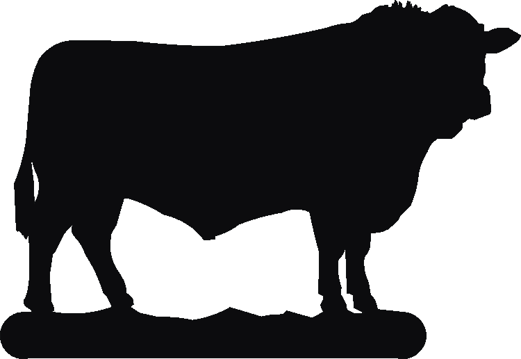 Sussex Bull Herbies